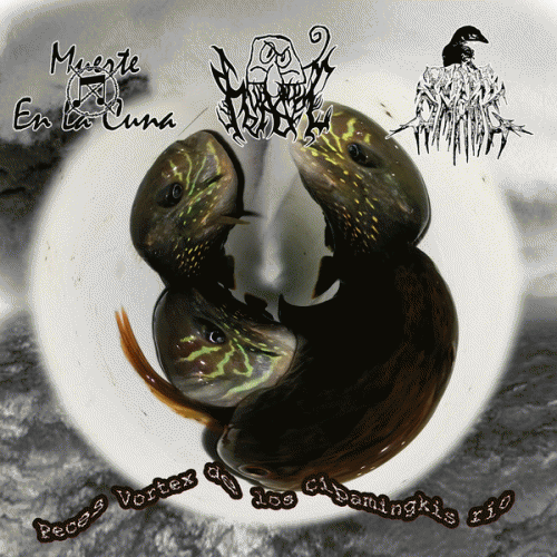 Death Omang : Peces Vortex de los Cipamingkis Rio